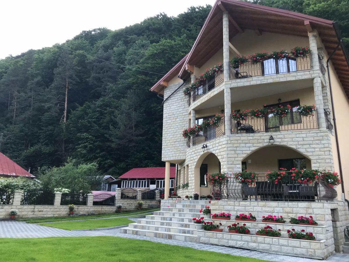 Casa Andra Hotel Slănic-Moldova Eksteriør billede