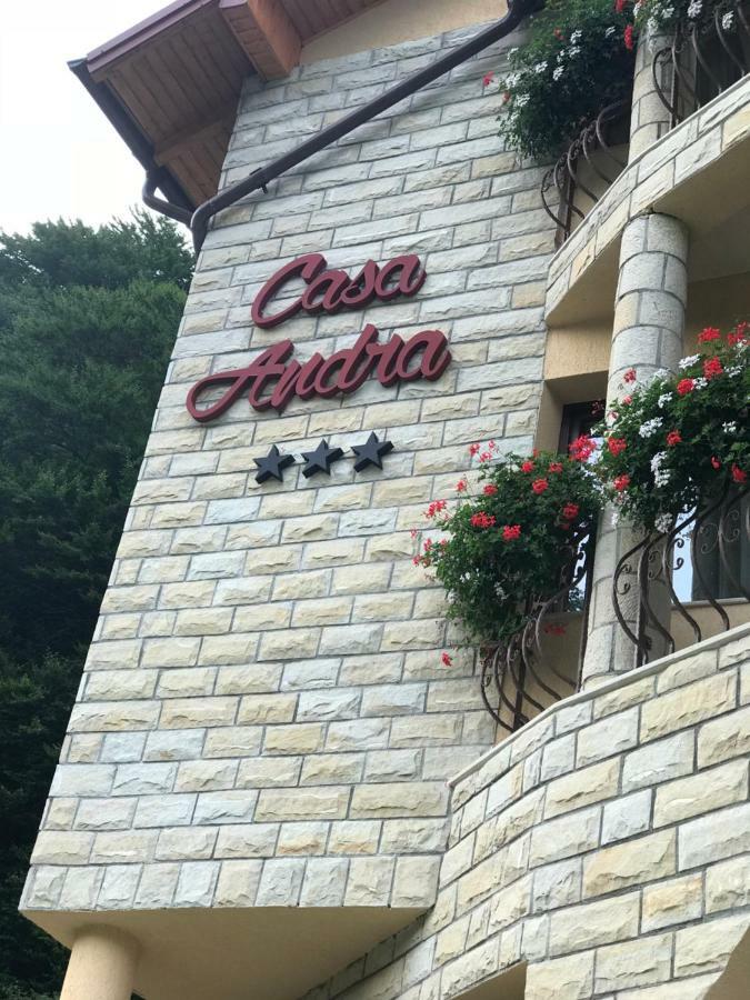 Casa Andra Hotel Slănic-Moldova Eksteriør billede